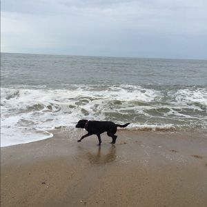 Meet your Posher, Maureen